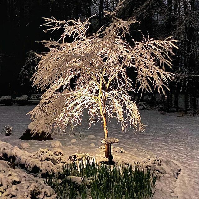 TdubHokie's tweet photo. ..And to all a good night. βοΈ #OutAboutNc #ABC11 #NcSnow https://t.co/NRIGfYHSFz https://t.co/Kh2137BasS