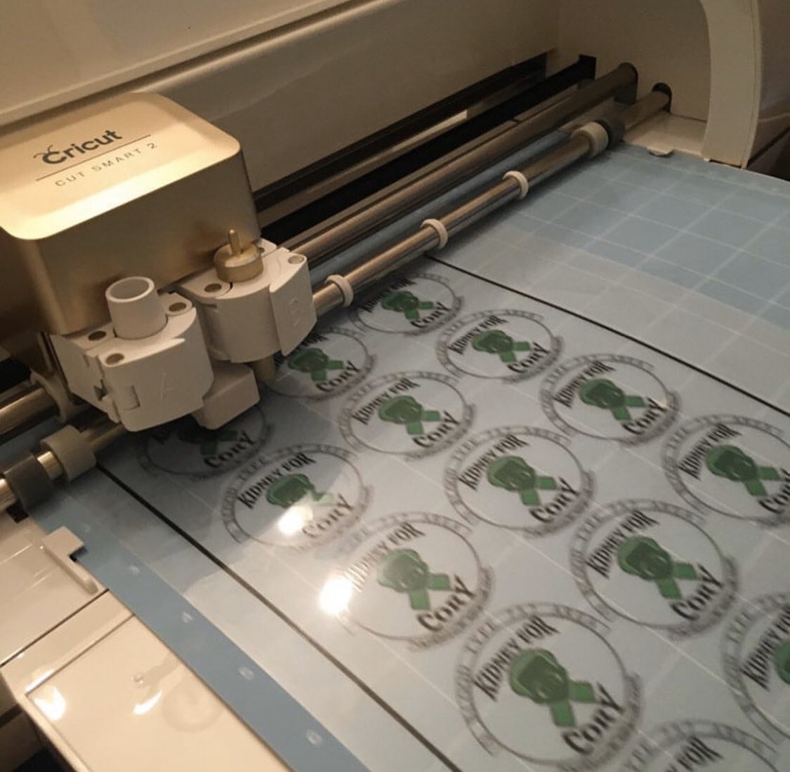 KidneyForCory tweet media