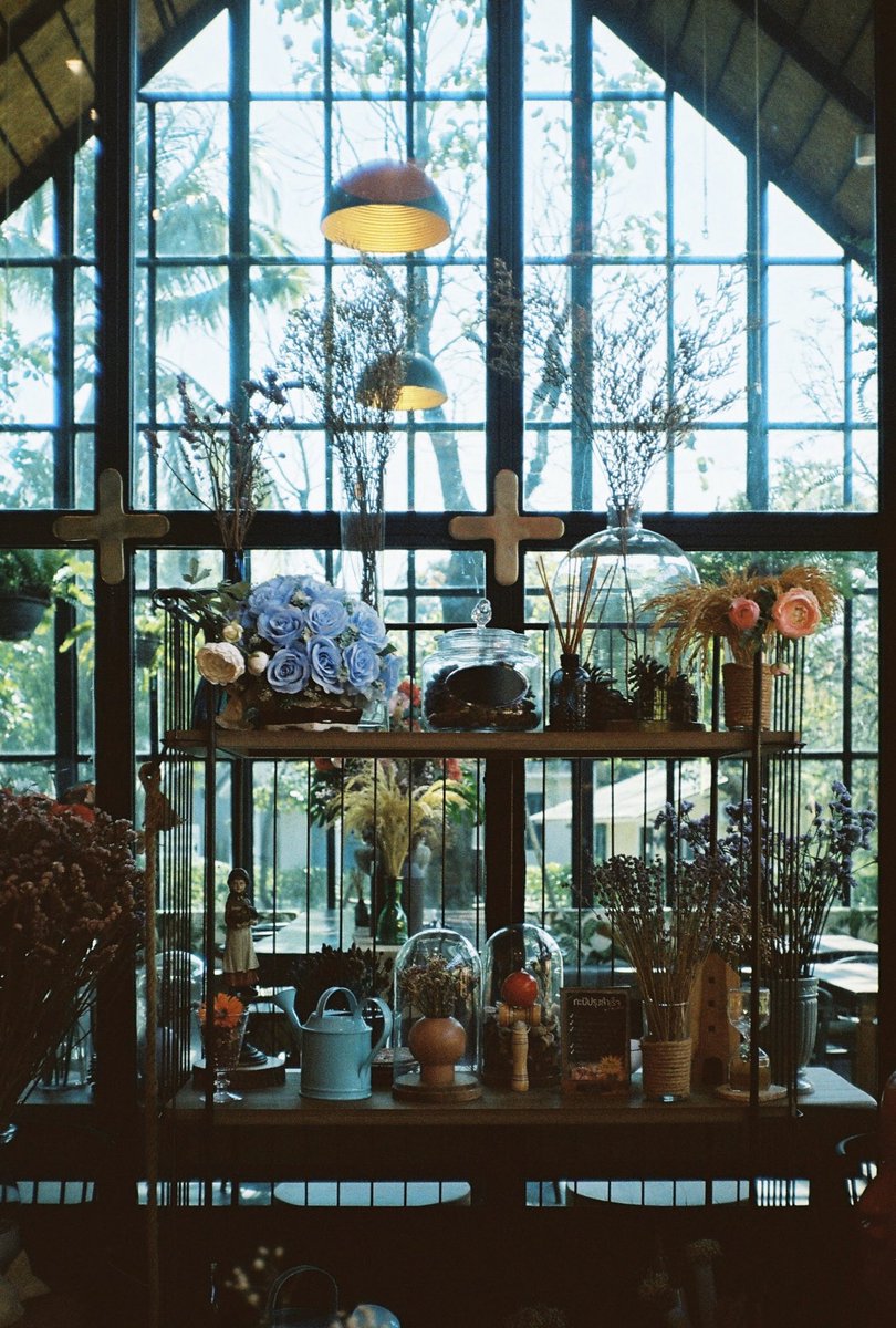 chubby_cafe's tweet photo. #Lomography400 #FujicaGE https://t.co/gwd3oFwx1s