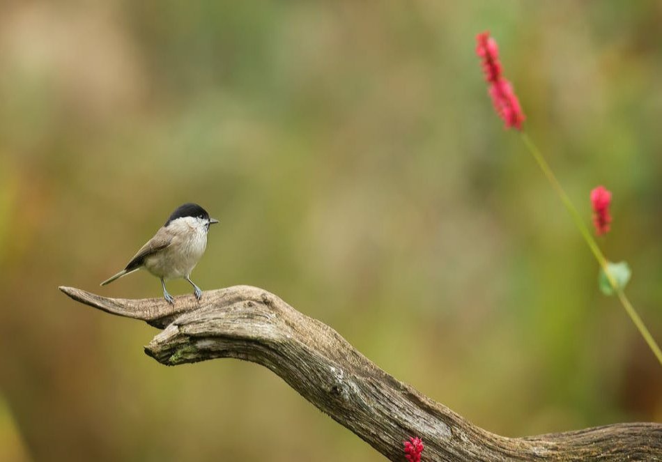 화날 때
단정짓지 말고

힘들 때
결정하지 말고

난처할 때
선택하지 말고

술 마실 때
약속하지 말고

행복할 때
장담하지 말고

잘 나갈 때
거만하지 말고...