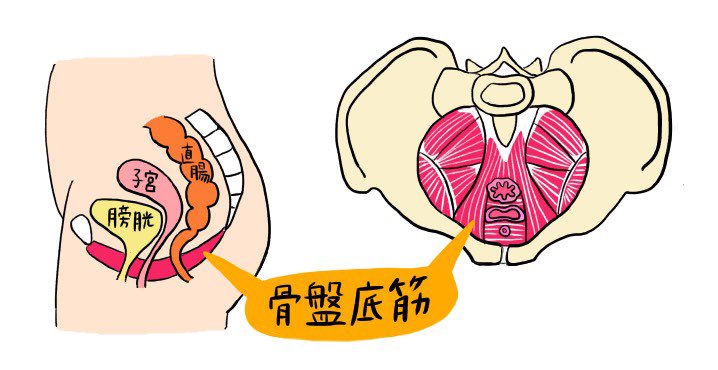 骨盤底筋トレーニング