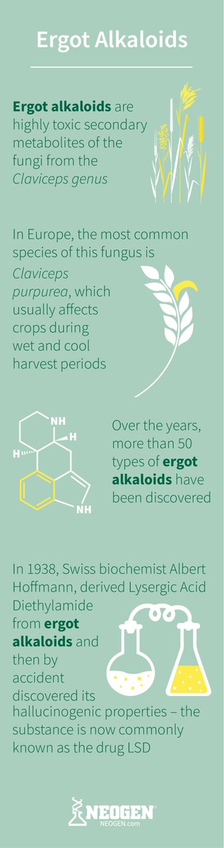 Discover our new lateral flow test for ergot alkaloids! Check out the infographic to learn more about Ergot Alkaloids. Click the link and discover our test: bit.ly/39WTi6p #Ergots #FoodSafetyFriday
