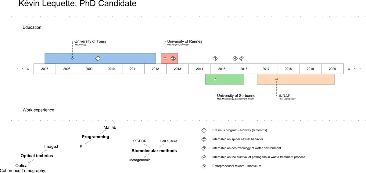 'VisualResume', a nice R package  for creating a visual CV !