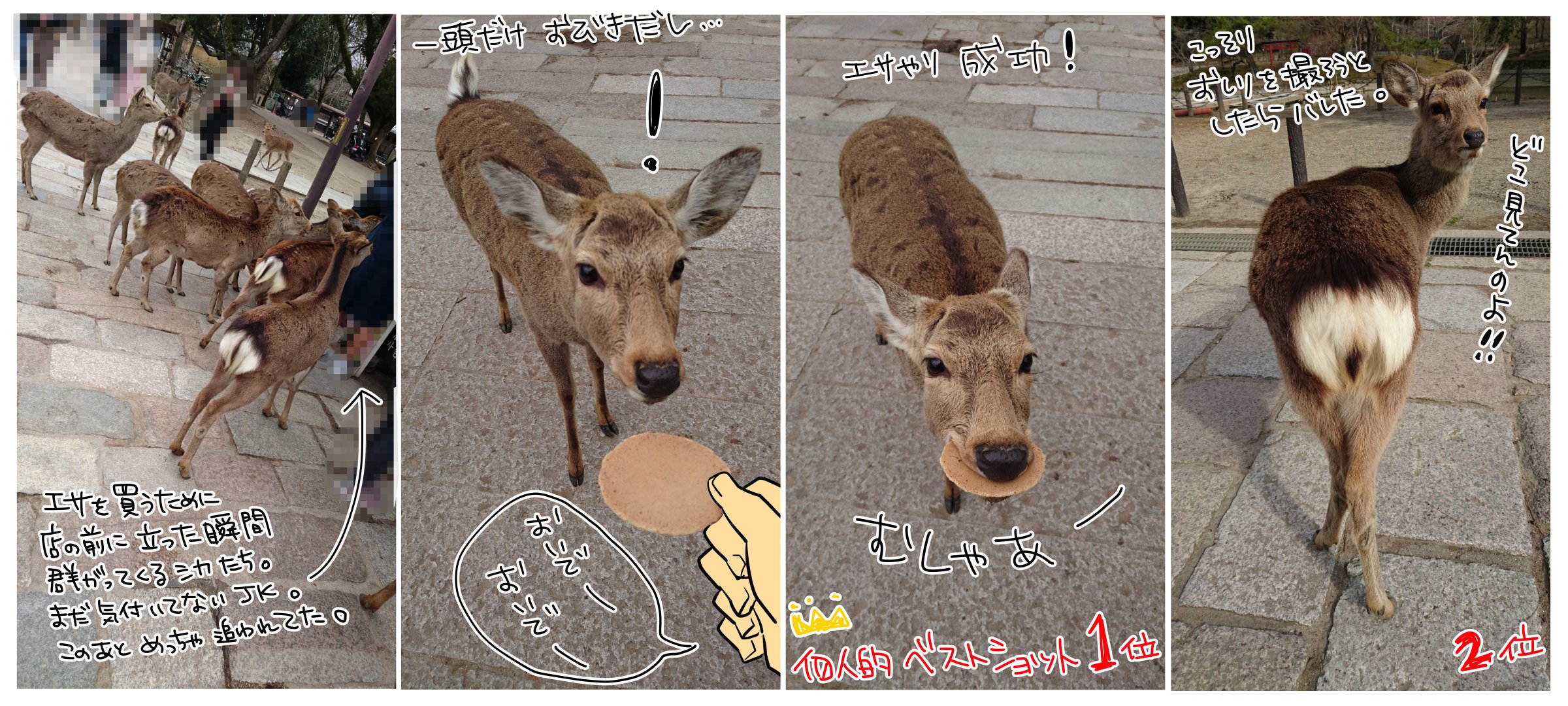 GJamK_ea8AASn5a.jpg