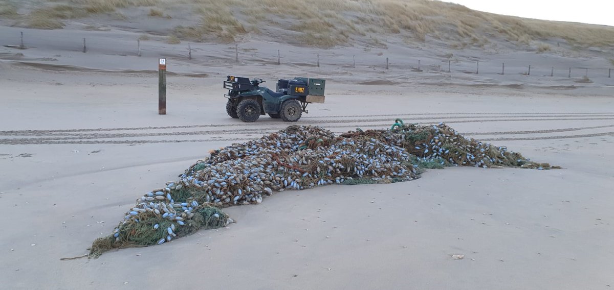 The 🌊#sea is throwing us back our garbage😔. Divers of the <a href="/ghostfishing/">Ghost Fishing</a> team were alerted today by #EHBZKatwijk about this huge #gillnet washed ashore on the beach in #Katwijk.

#ghostfishing #lostfishinggear #ghostdiving
<a href="/healthyseas_org/">Healthy Seas</a>