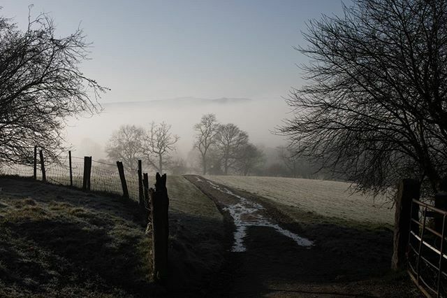 SamEyreTV's tweet photo. Oooooo atmosphere.
#winter #frost #earlymorning #fog #fogphotography #photography #weatherphotos #countryside #countryphotography #peakdistrict #feburary #nature #lowlyingfog #winterwalk #winterweather https://t.co/slyhL7tSwq https://t.co/LSEnXM9zTx