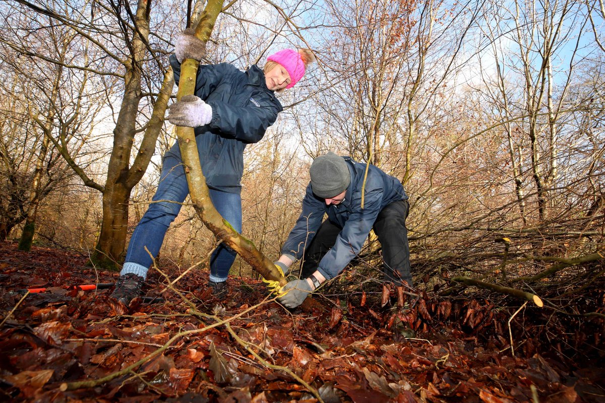 DanskeBank_UK's tweet photo. Yesterday, some of our Agribusiness and Customer Direct contact centre colleagues spent the day volunteering and clearing some of the woodlands at Hillsborough Castle ππ³
Sore muscles all round today! @bitcni https://t.co/kk3NfORvRW