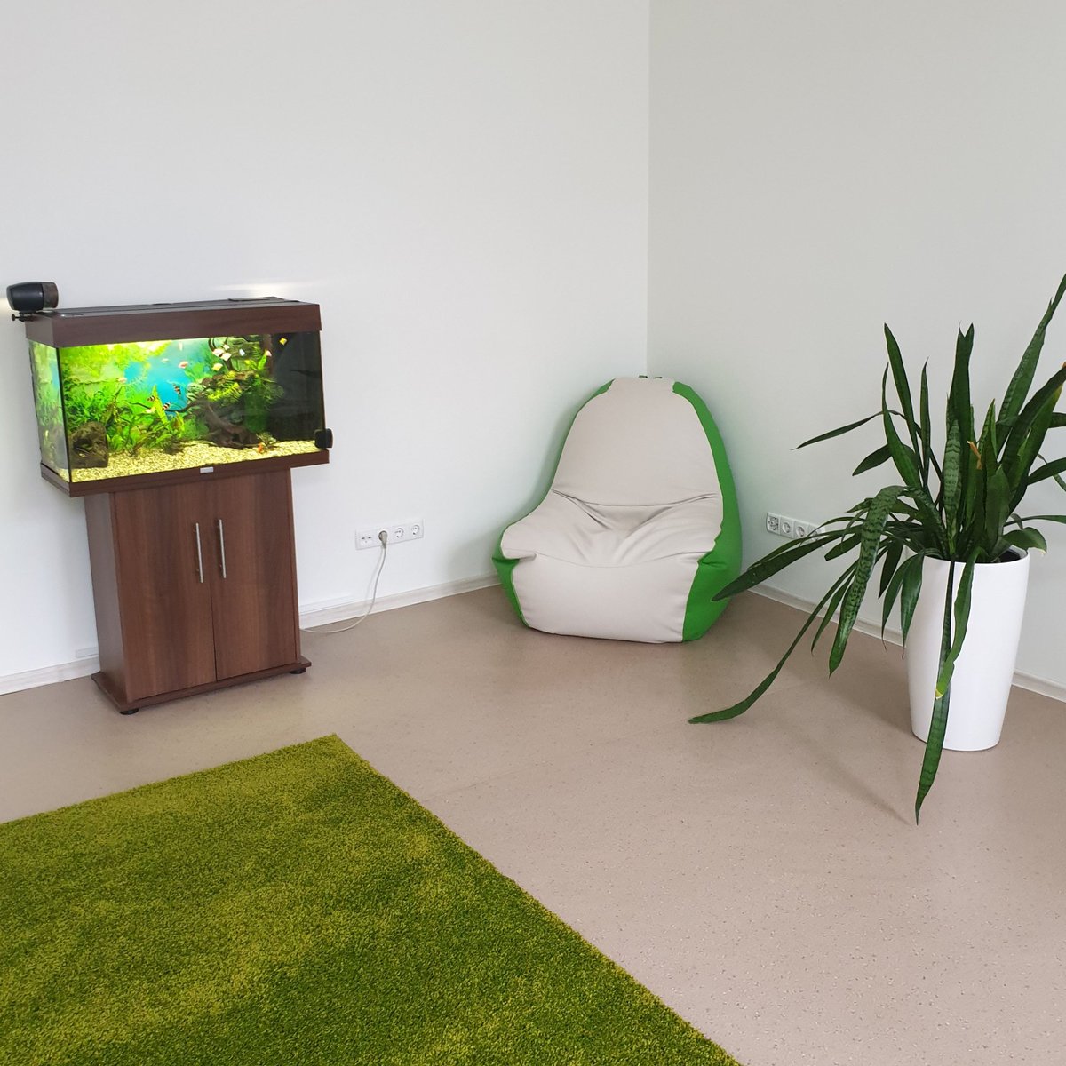 Forma_PRO's tweet image. In Forma Pro, together we create a comfortable space not only for work, but also for relaxation 🧘‍♀️🐠🌿😀
#formapro
#webdevelopment
#webdevelopmentteam
#dedicatedteam