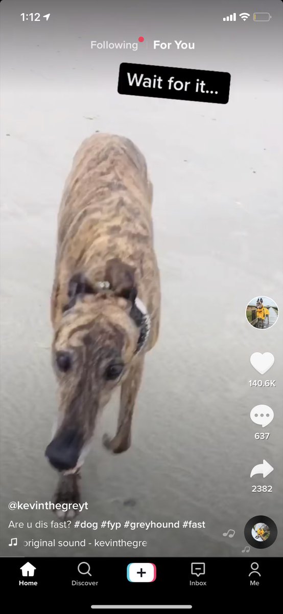 Kaeli🌻 (@robbinskaeli) on Twitter photo <a href="/KevinTheGreyt/">Kevin The Greyt</a> was on my For You page on Tik Tok!! Not gonna lie I kinda freaked out 🤩😍 <a href="/KevinTheGreyt/">Kevin The Greyt</a> was on my For You page on Tik Tok!! Not gonna lie I kinda freaked out 🤩😍