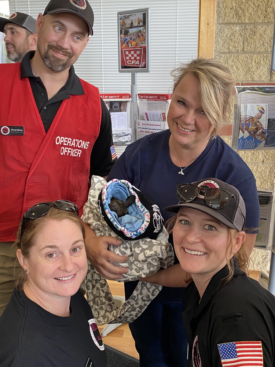 Gavin Freeman AFSM, FIFireE, GAICD tweet media