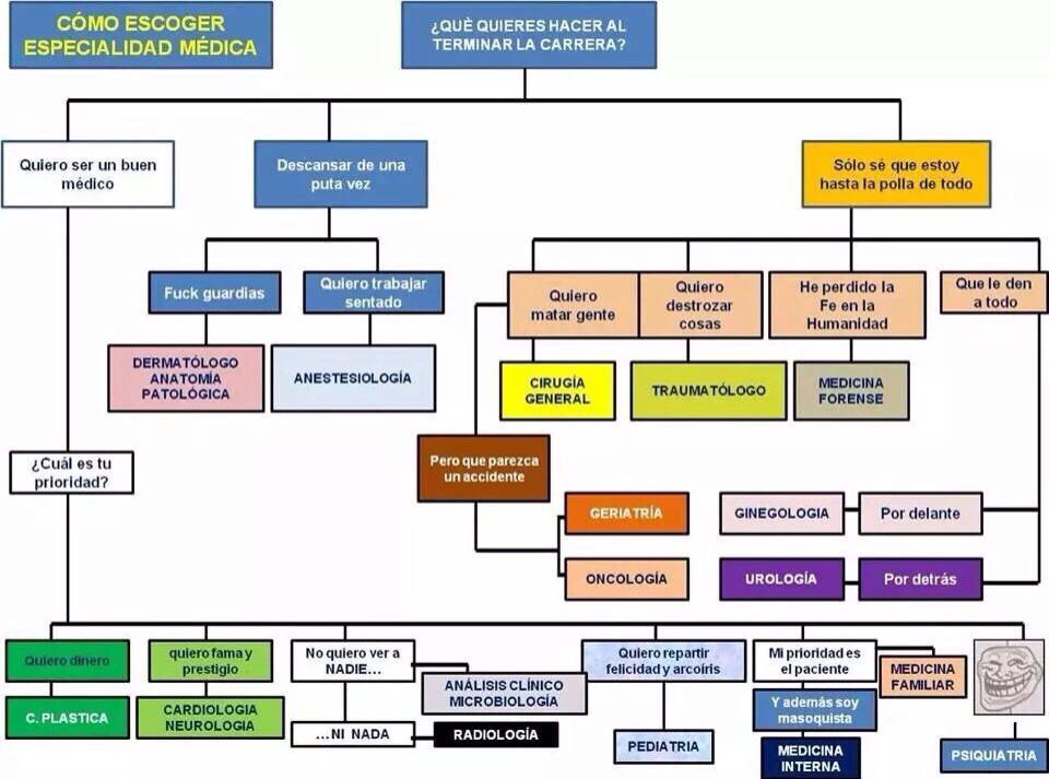 Para los que dudan sobre qué especialidad elegir
