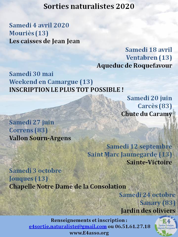 e4asso's tweet image. Et voilà ! Le nouveau programme des sorties naturalistes est disponible ! Inscriptions sur E4sortie.naturaliste@gmail.com.
Vous ne nous connaissez pas encore ???? Faites un tour sur e4asso.org !