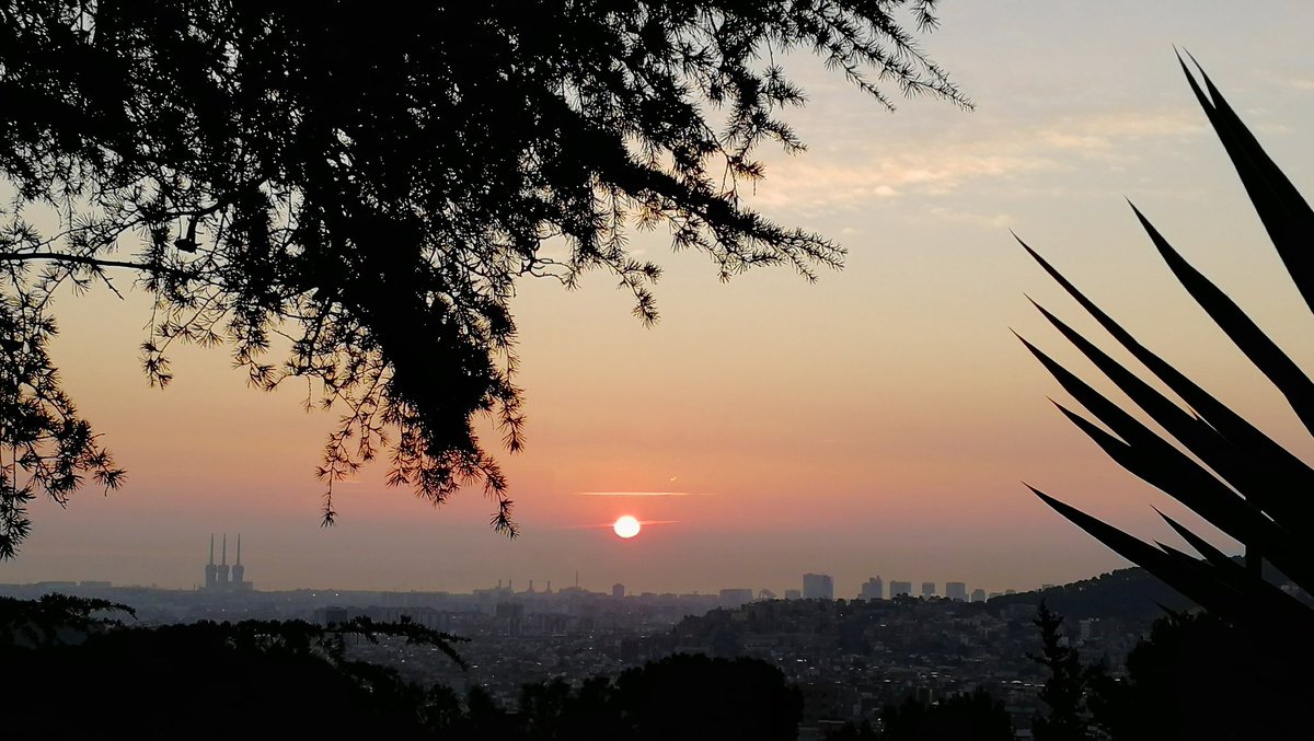 Bon dia, 8 graus i cel serè des del barri de #Montbau #Barcelona #Collserola (07.45h) #albada @SoniaPapell @AlfredRPico @meteorac1 @SergiLoras @Vakapiupiu @StormHour @ThePhotoHour #sunrise #324eltemps #arameteo #meteocat #StormHour #ThePhotoHour #eltempsamb