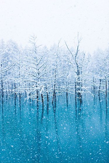 絶景事典 公式 V Twitter 水面が青く見える不思議な池 木々に積もった雪と青のコントラストが美しい幻想的な冬の風景 北海道上川郡美瑛町にある 青い池 Via T Co Vfqouwkz5k 絶景辞典 絶景 青い池 北海道