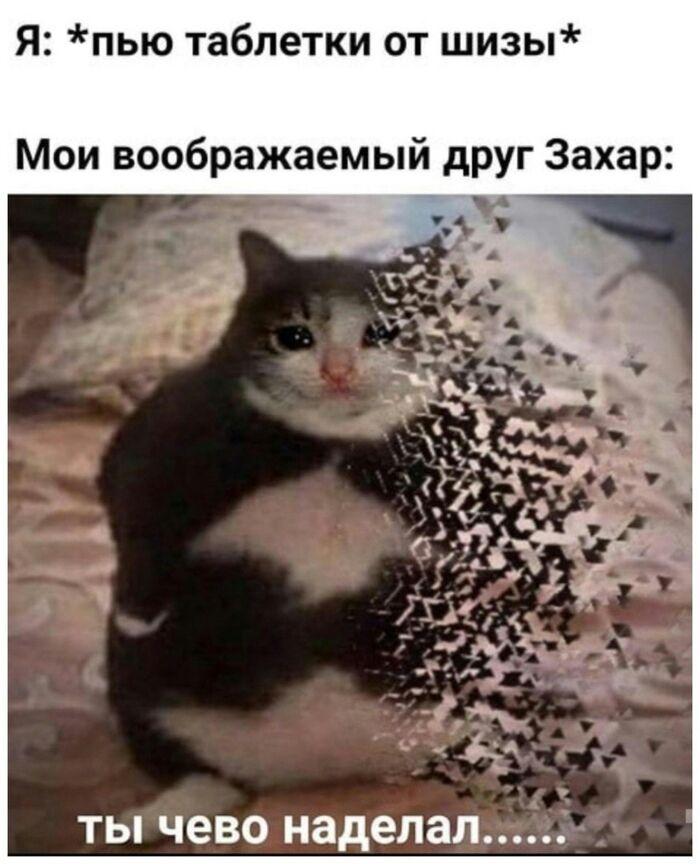 Russian Memes United tweet media