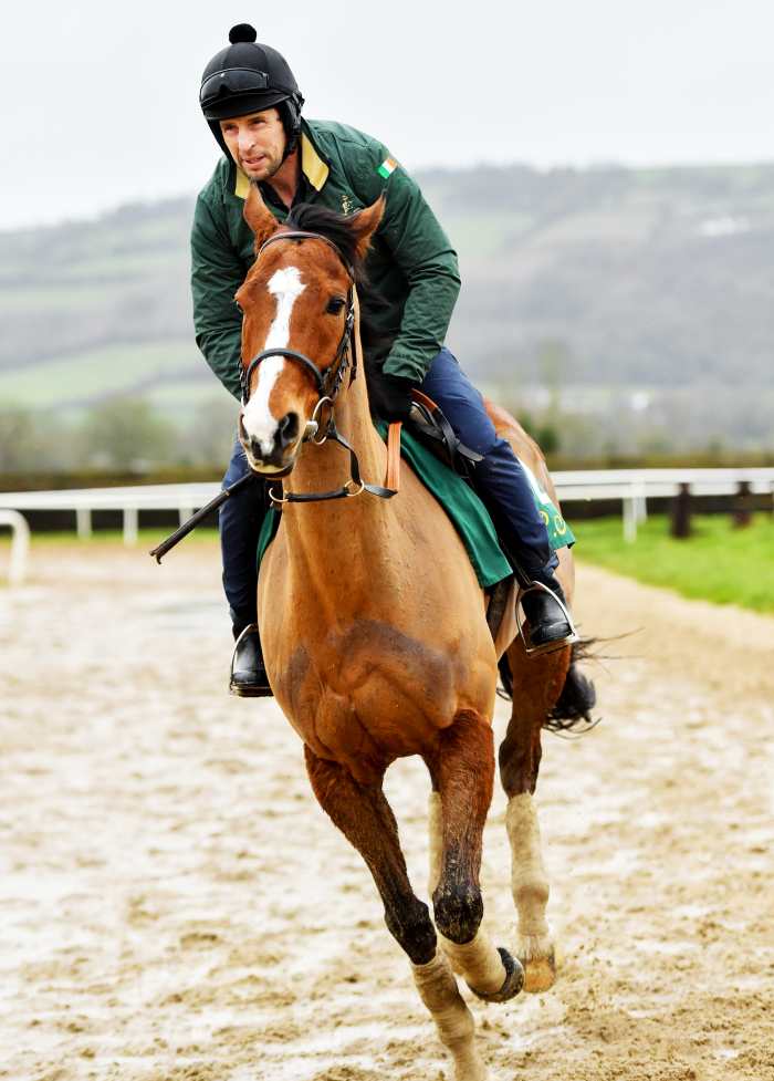 SportsJOEdotie's tweet photo. The marvellous Faugheen, ears pricked, eyes glowing, under his groom John Codd at Willie Mullins' Closutton yard visit on Wednesday.

 11 years and still going strong. Rich Ricci's horse of a lifetime may run in his fifth Cheltenham festival next month.

🐎👑 https://t.co/apRsGrAQTh