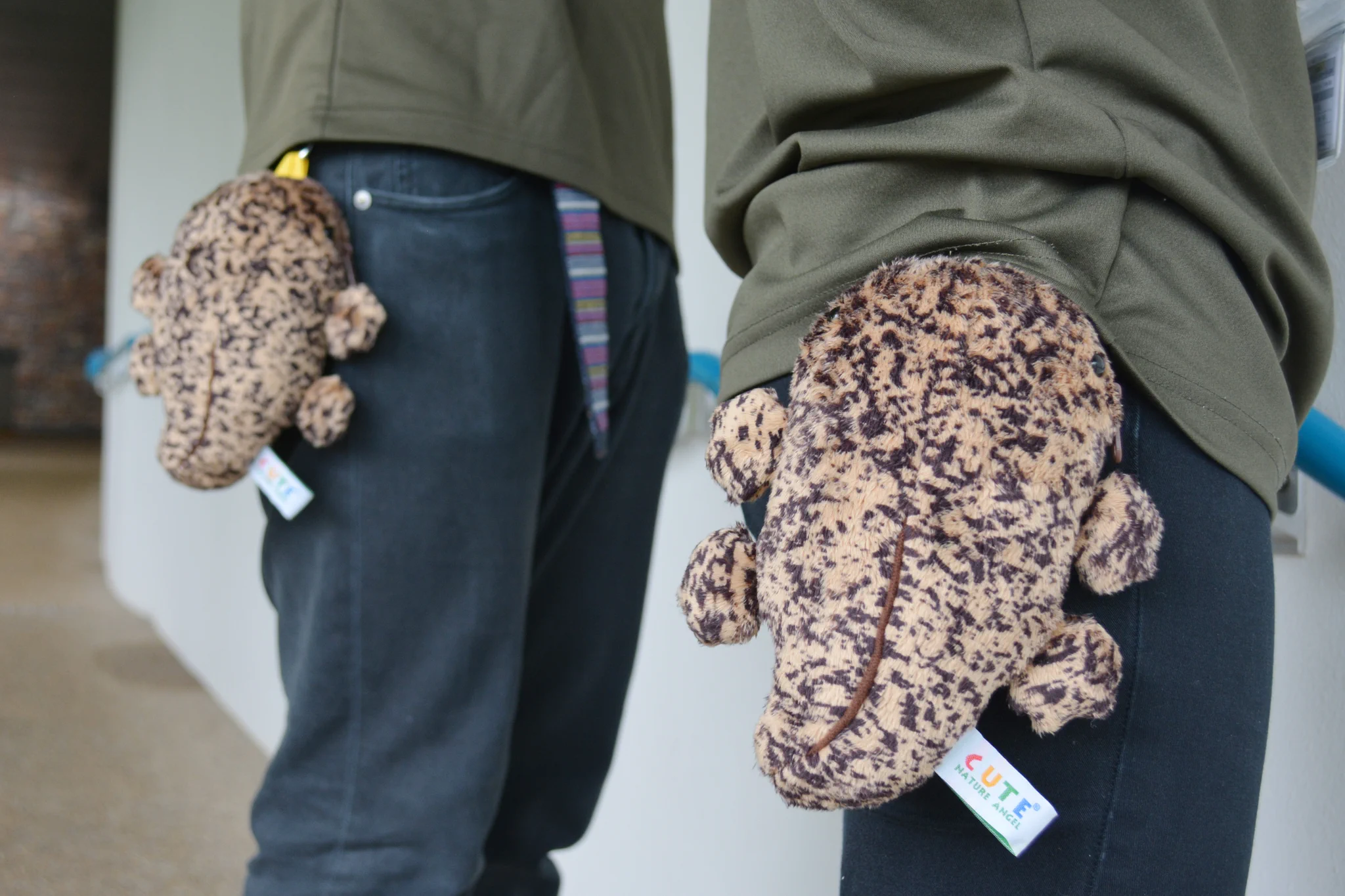 京都水族館ではスタッフ全員にオオサンショウウオポーチが配布されていた！？