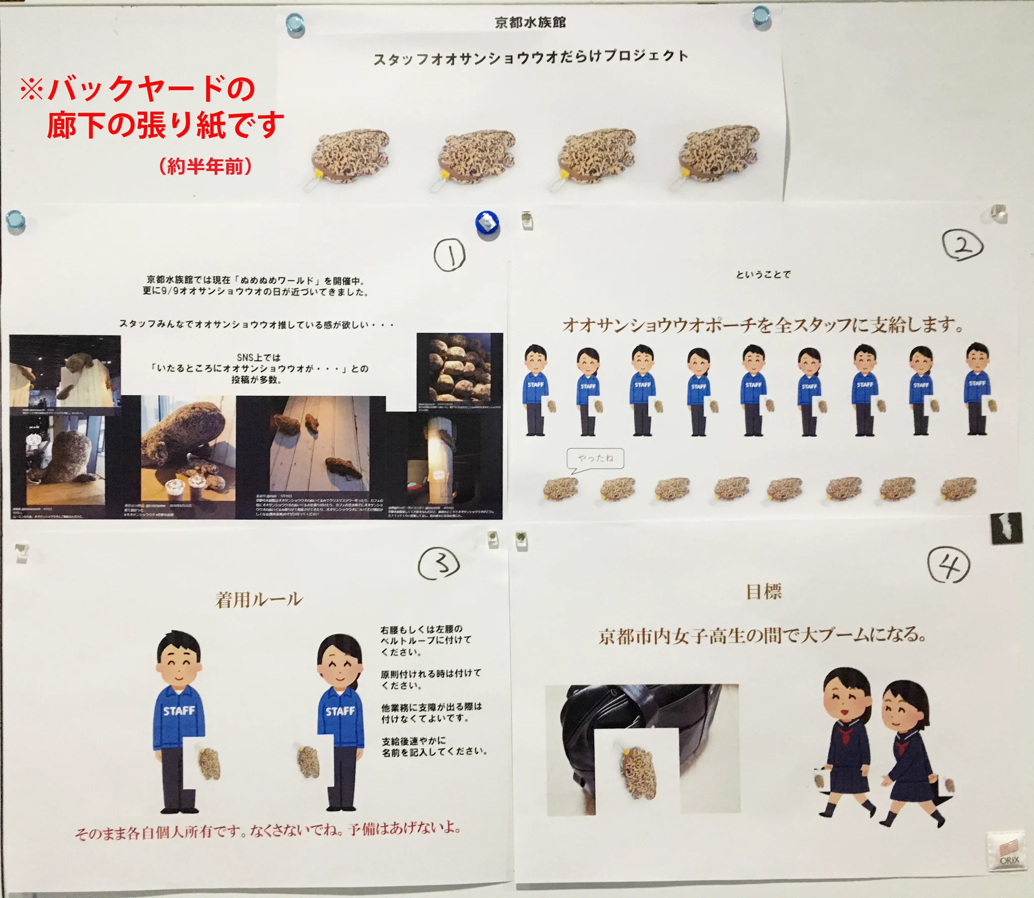 京都水族館ではスタッフ全員にオオサンショウウオポーチが配布されていた！？