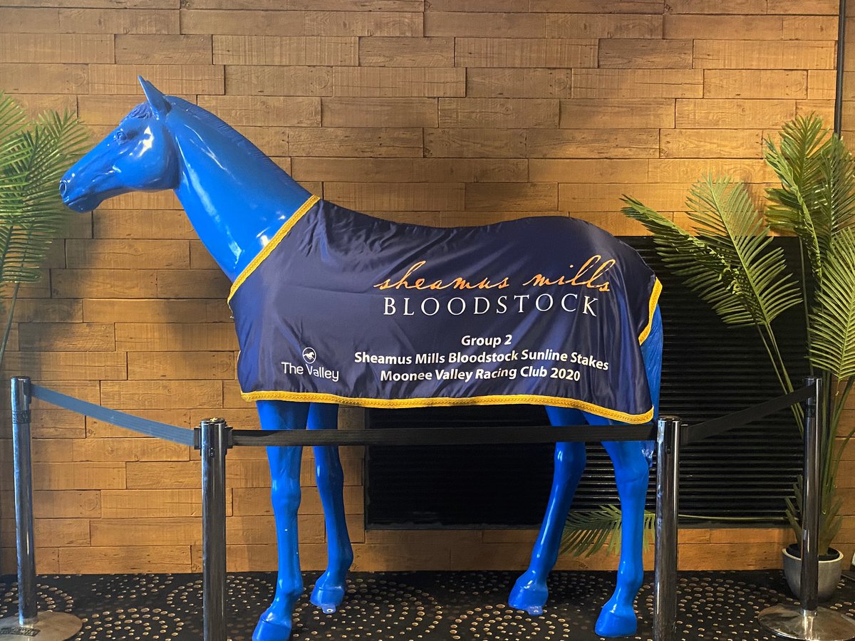 Rapt to see the @SMBloodstock Sunline Stakes rug on display at the @RacingNextGen event tonight at @TheValley! Only 4 weeks to go 💃