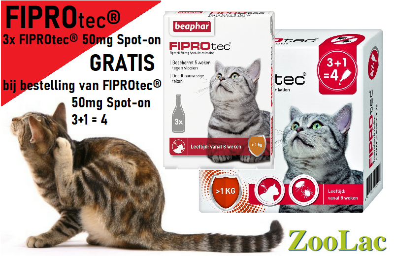 ZoolacPropaste's tweet photo. Carnavalsactie! Nu: 3 pipetten Fiptotec® Spot-On Kat >1kg GRATIS bij bestelling van Fiptotec® Spot-On Kat >1kg 3+1.

Schrijf bij de opmerking in het bestelscherm: DRIE GRATIS en ontvang 3 pipetten Fiptotec® Spot-On Kat >1kg helemaal voor niets! Kijk op https://t.co/mUkUsVDmYd https://t.co/WUa17KkrWG