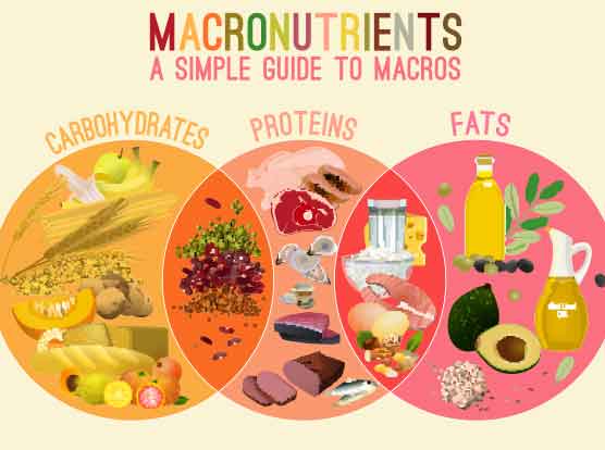 When you hear people talking about macros, they are usually just talking about our three sources of energy: fat, protein and carbohydrates. Why do they... ow.ly/AmMI50yscv0