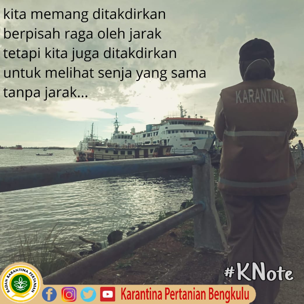skp1bengkulu's tweet image. SobatQ, Meski kita berada ditempat yang berbeda, senja kita tetap sama.

Dukung Karantina Pertanian menjaga Indonesia 🇮🇩, karena kita tinggal di bumi yang sama.

Menjaga Indonesia artinya menjagamu juga.

#KNote
#LaporKarantina🍎🐕
#KarantinaPertanianBengkulu