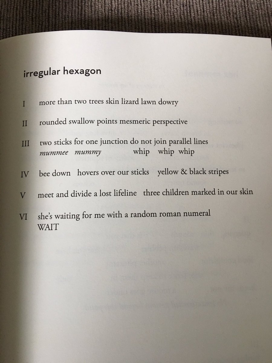 Ada Unseen by Frances Presley codifies the mathematics of beauty through a set of variations on the life and work of Ada Lovelace. The poems are consciously orientated in the landscape of our current ecological concerns.  @ShearsmanBooks