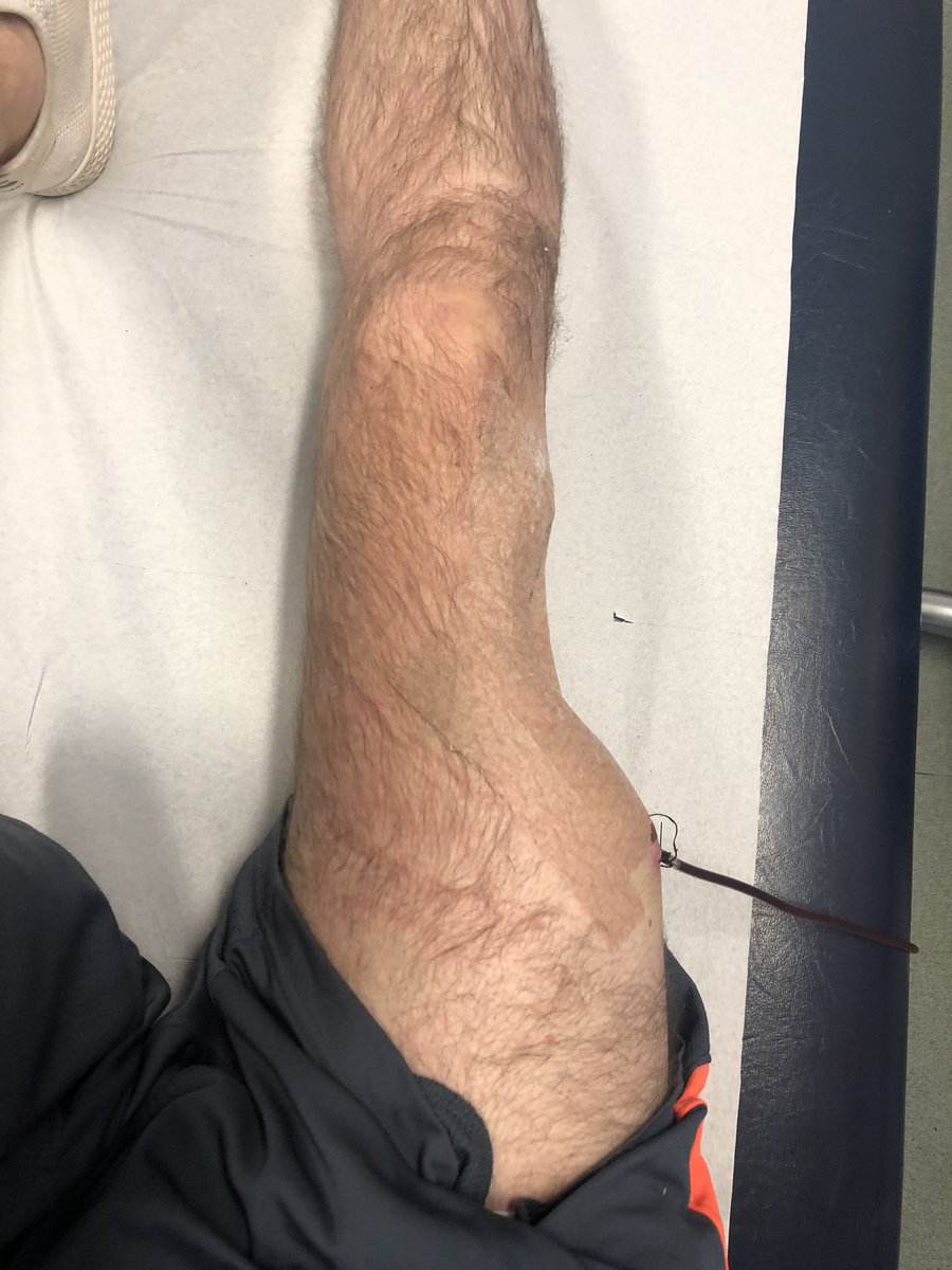 Steffan Rhys tweet media