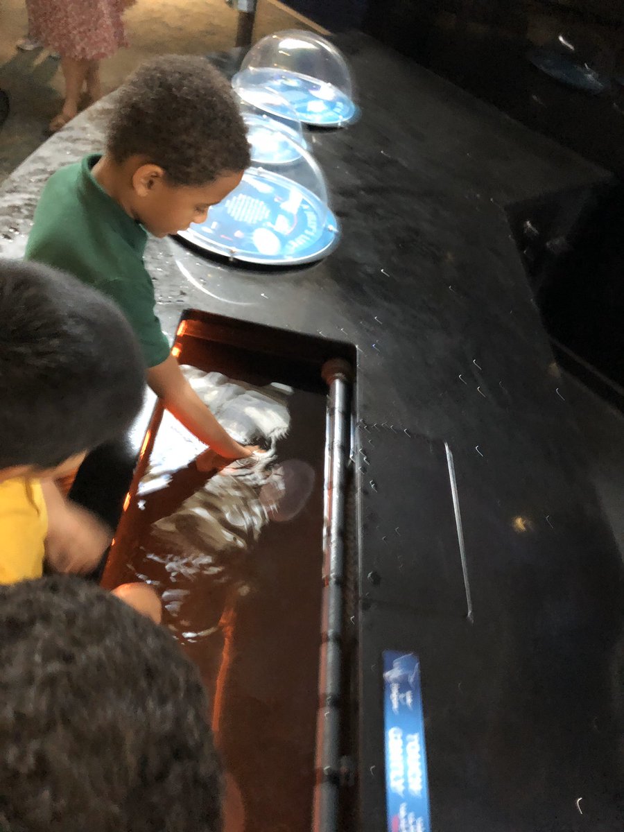 We had such a great time at the <a href="/floridaaquarium/">The Florida Aquarium</a> yesterday! The best part was the looks amazement and joy on my students’faces 😁 @MortElementary