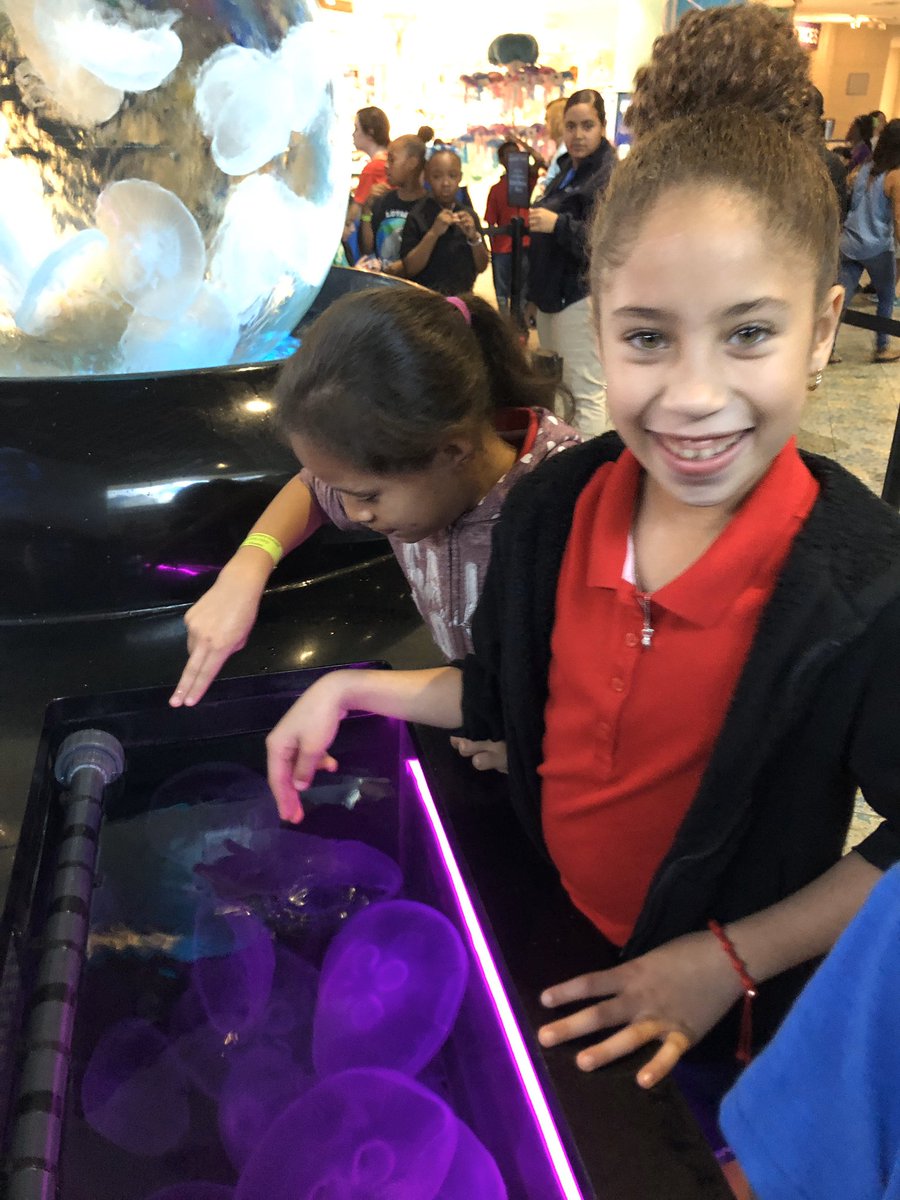ELAwithMsA's tweet photo. We had such a great time at the @floridaaquarium yesterday! The best part was the looks amazement and joy on my students’faces 😁 @MortElementary https://t.co/7BFYEivM6B