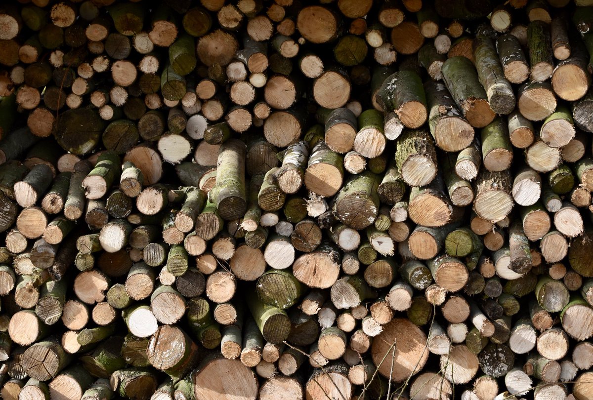 countrymousie's tweet photo. @ValiantFireside I had no idea wet wood was such a thing! We dry come what may for at least 18 months for home use. Guess unscrupulous traders are in all things. How it will be policed and regulated is above my pay grade π#logwoes #dryyourwood #banishthewet #bans #logstores #givegoodwood https://t.co/Bty1uObR2C