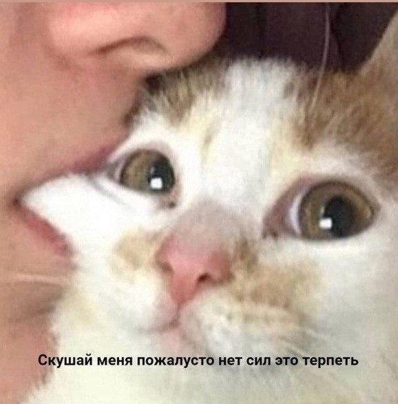 Eat me, please, I can't take it anymore