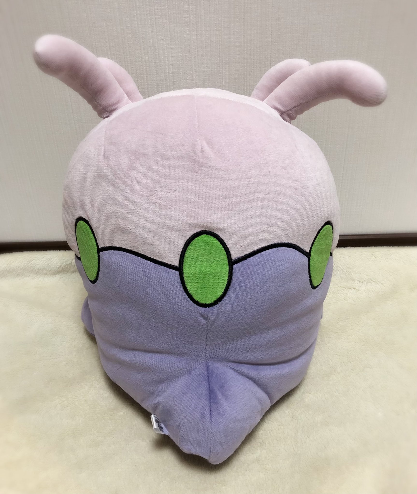 カナ はくろう ヌメラの もちふわクッション が届きました もちもちふわふわで触り心地抜群です 抱っこしてポケモンやろーっと 以前発売されたもので 22日発売の もっちりまんまるクッション にはありません ポケモン ヌメラ カナ はくろう ヌメラの もちふわクッション が届きました もちもちふわふわで触り心地抜群です 抱っこしてポケモンやろーっと 以前発売されたもので 22日発売の もっちりまんまるクッション にはありません ポケモン ヌメラ