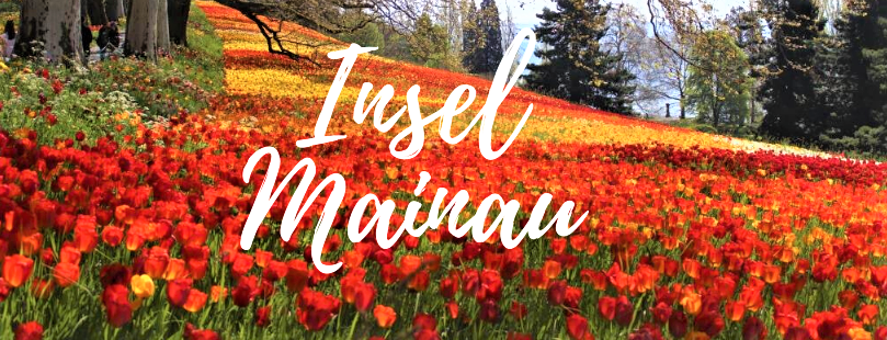 allaricercablog's tweet photo. #LagodiCostanza #InselMainau #travel #viaggi
La primavera si avvicina, i prossimi ponti sono l’occasione giusta per un viaggio nel Bodensee dove l’Isola di Mainau dà il meglio di sè con le fioriture di uno dei giardini più conosciuti in Europa. 👉https://t.co/hIvmGnXXMu…/ https://t.co/ord4jTK1aI