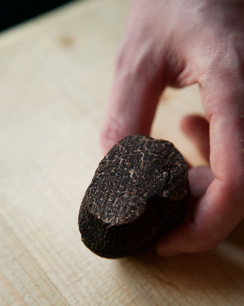 wildflorhove's tweet photo. Risotto.
Black Winter Truffle.
Nebbiolo.
#wintertruffle
#wintertrufflerisotto
#nebbiolo
#langhenebbiolo
#barolo
#barbaresco
πΈ @Foarke https://t.co/IyRWxjBVa5