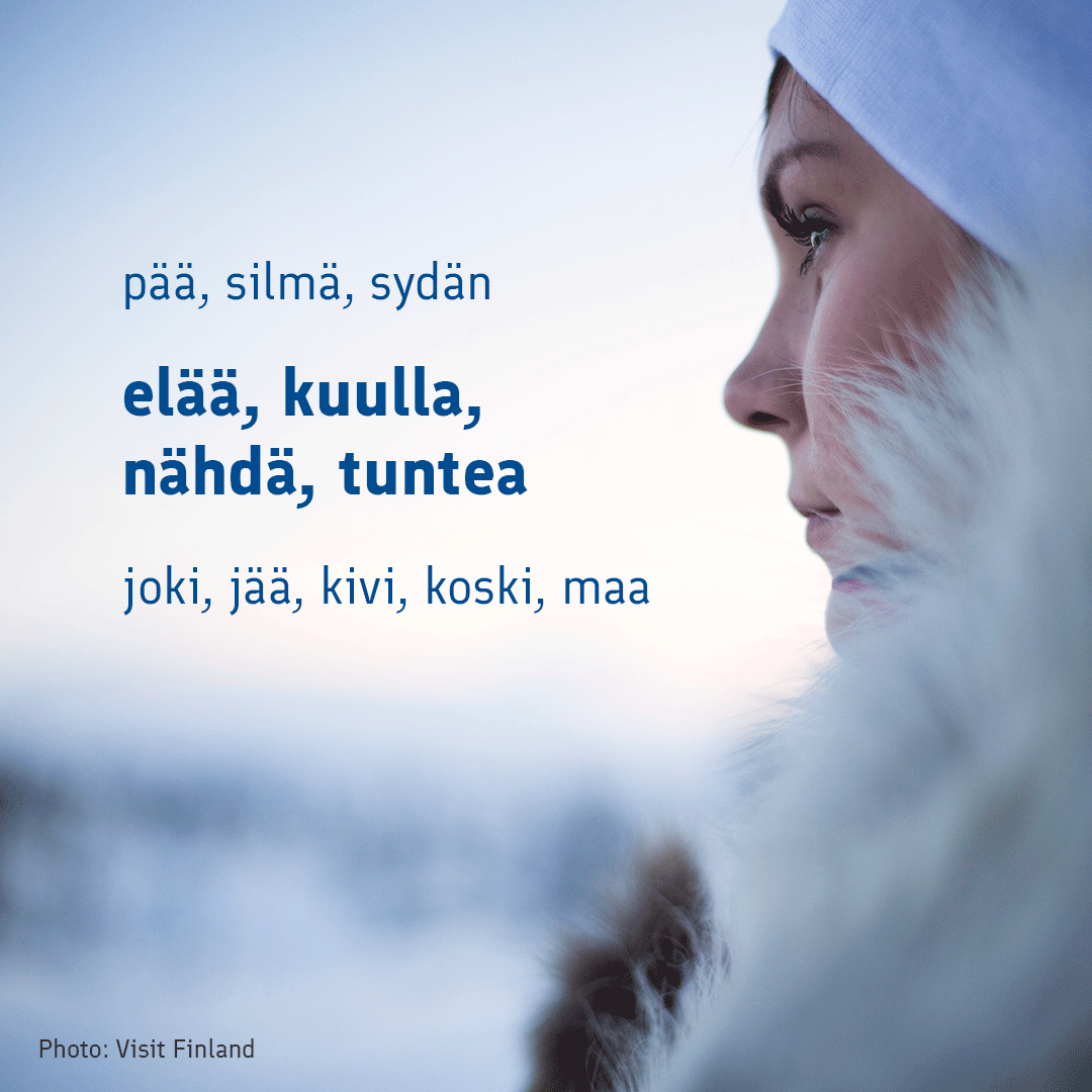 thisisFINLAND tweet media