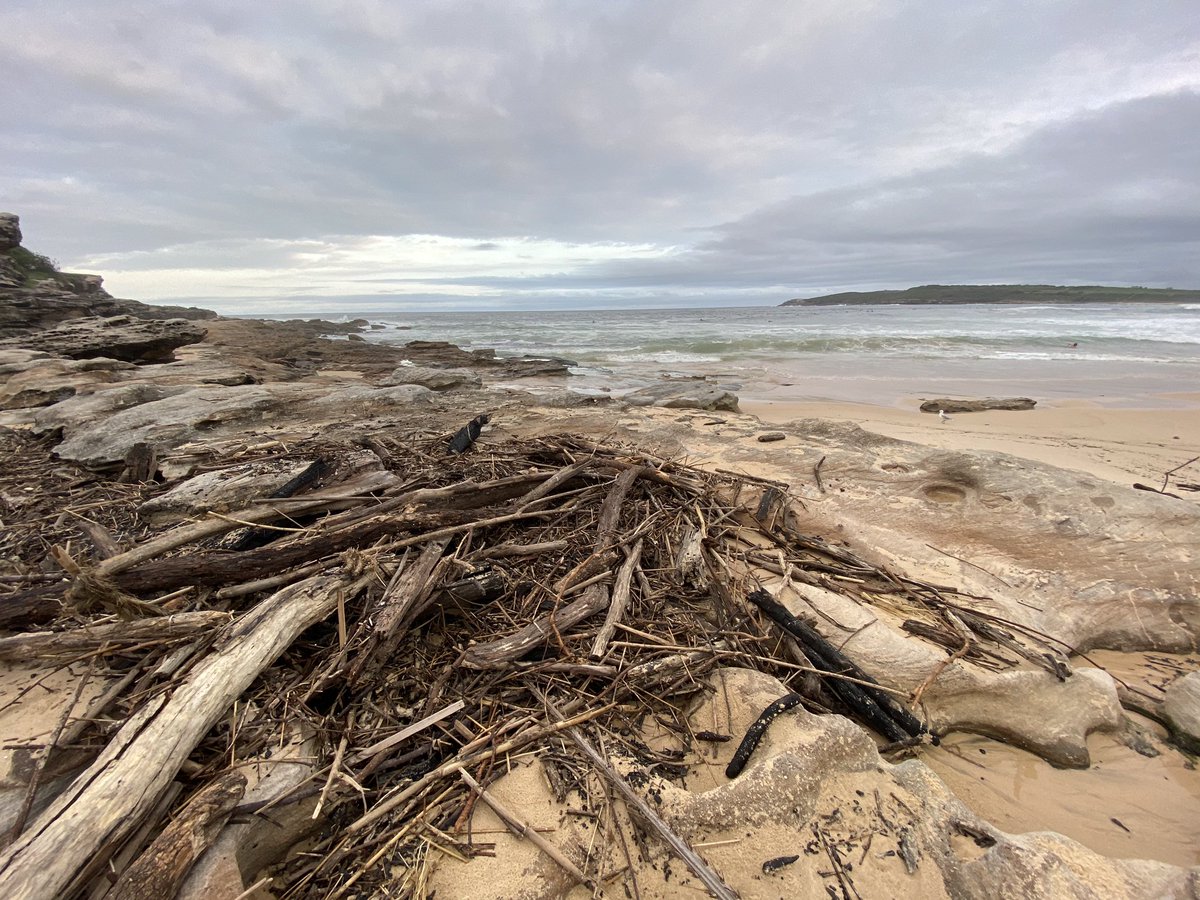 As storms wash #bushfire debris downstream the emergency clean up has been massive. #bushfires #nswfires #nswfloods We need to clean up but we also need to understand the impacts. How can we ramp up the research? I think we need a rapid-response bushfire impact assessment fund.