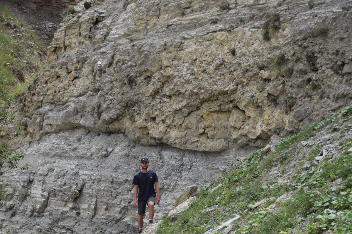 Zoë Cumberpatch tweet media