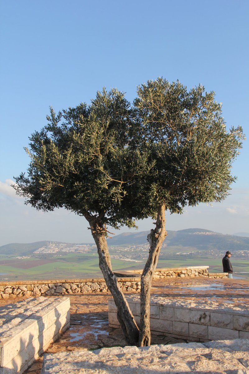 acdisrael's tweet photo. Qq photos de mon voyage en Israël du 10 au 16 février 2020 / photos by @YRShots https://t.co/Bt3OzzgopC