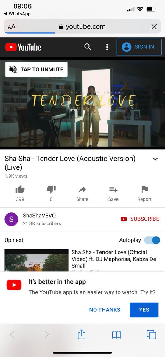 ICYMI 🗣 @ShaShaOfficial_ just released the highly anticipated #TenderLoveAcoustic. This is definitely one of my favs. 😭 Y’all should definitely peep it here:smarturl.it/SSTLAV