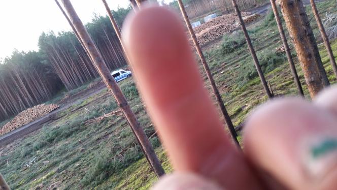 baumpirat_innen's tweet image. Nach technischen Schwierigkeiten gibt es nun endlich Bilder von der neuen Besetzung: Bild 1 ist beim Bauen in der Nacht passiert, Bild 2 bei der Ankunft der Polizei. #besetzen #tesla #Gigafactory 
#gigaberlin