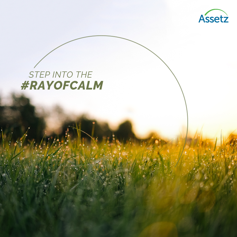 SunSanctum's tweet photo. Step Into Ray of Calm, Visit - https://t.co/Fz3OLToEOh 
For More Details! https://t.co/o9Yv4SGDmq