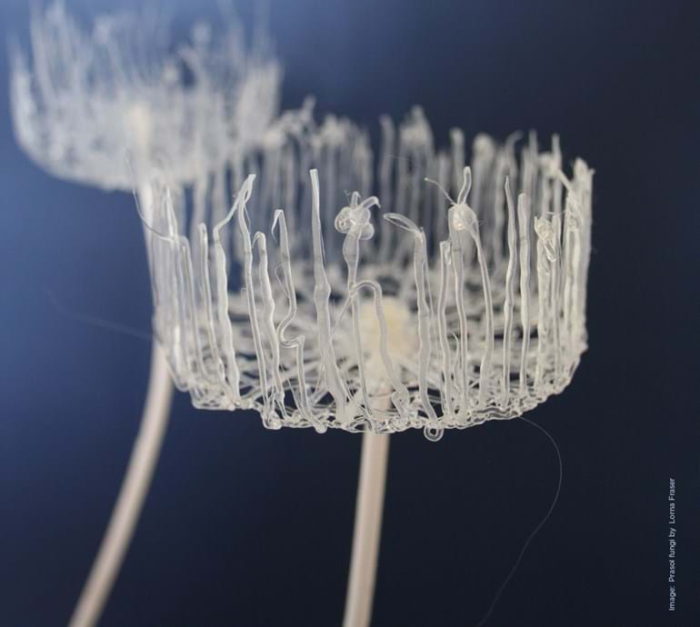 001LouiseArnold's tweet photo. We helped bring together artists and universities to explore how to recycle plastics into art exhibitions. See the 'Think Plastic: Materials and Making' exhibition @TheBotanics #MatchedByInterface @InterfaceOnline https://t.co/MLMEStCLzm https://t.co/POvT5zMbFa