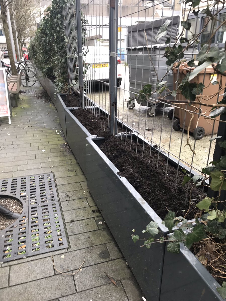 greeninglinc's tweet photo. Preparing the planters in Barrack Lane to be planted with hops, honeysuckle and clematis. Got some #SuDS planters on the way too! #greeninfrastructure #Cardiff https://t.co/rMwU4lLxyJ