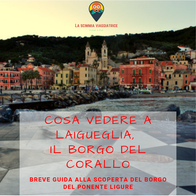 La Scimmia Viaggiatrice tweet media