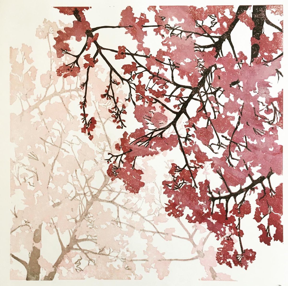 susenoble's tweet photo. There will be two versions of this cherry blossom #shinrin-yoku print....though it’s looking like only three of each one 🤞🏻 #verylimitededition
🍒
#saltburnprintmaker
#sakurashinrinyoku
#shinrinyoku
#cherryblossom
#printinprogress
#forestbathing
#ecotherapy
#naturetherapy https://t.co/AT8A0TmiYK