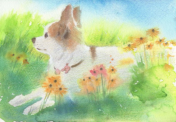 「犬 花」のTwitter画像/イラスト(古い順)｜3ページ目