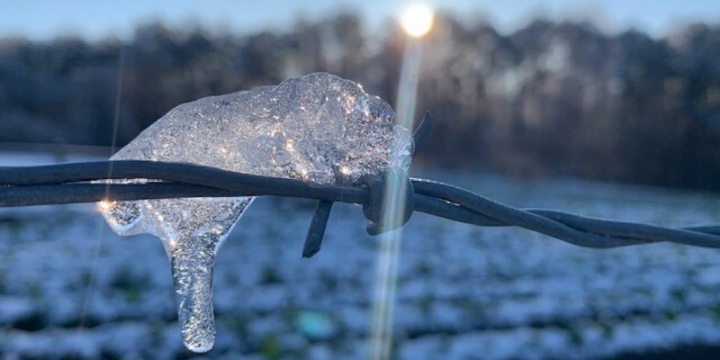 GoodandWill's tweet photo. We call this ice creature "Snowy McGhee." Snowy likes barbed wire and long walks on the beach. It was good while it lasted, Snowy! #snowday #snowmegeddon2020 https://t.co/hNIDipFgmp