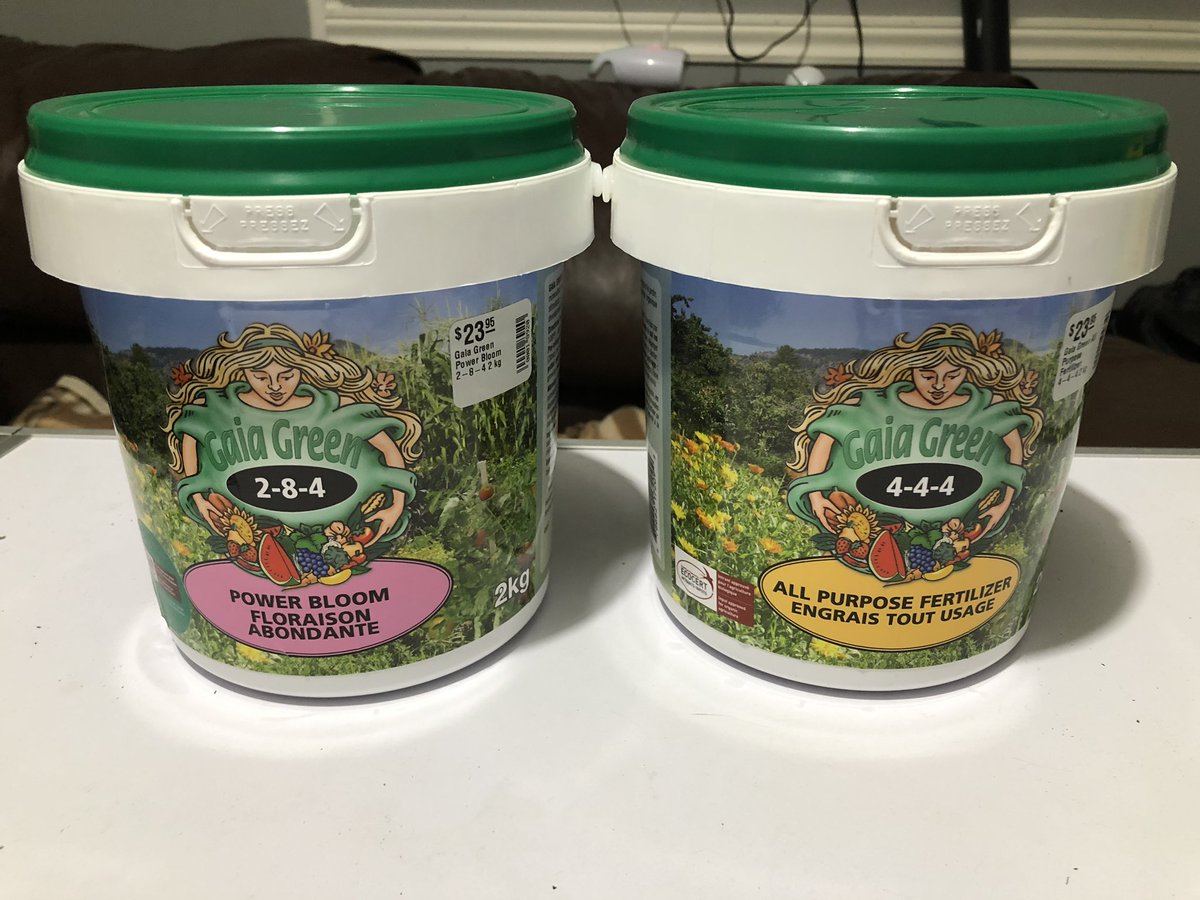 bradm_92's tweet photo. Got some gaia green organic amendments for my next grow, cant wait too see the results i get with this stuff #growyourown #organic https://t.co/4joP1m0k8M