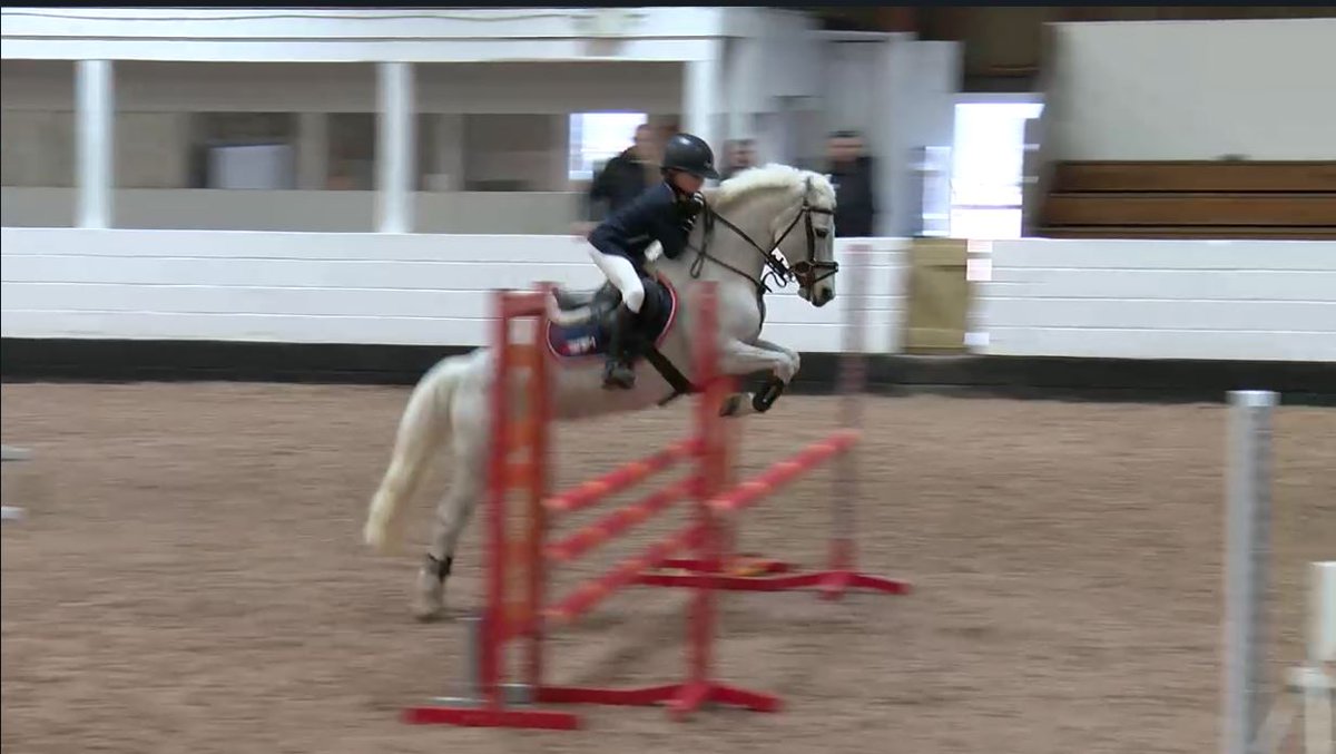 britequestsport's tweet photo. Don't forget you can still watch the action from the Richmond Equestrian Centre - REC Arenas 128cm/138cm live on https://t.co/q4wDpdjtov thanks to @ClipMyHorse! https://t.co/c1vuBOMjVy